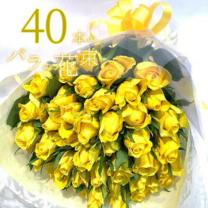 Fo40{̉ԑ NX}X X[p[Z[   yV ԑ v[g j LO Mtg ō җ v|[Y a ސE yԁz 2025  j    