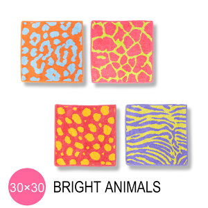 y}\P10{ztFC[ FEILER nJ` 30cm×30cm u[I O[Wt [u IW`[^[ LEO GIRAFFE ZEBRA CHEETAH ^InJ` [2025SS]