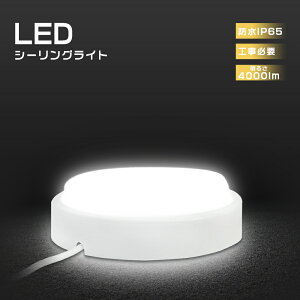 y1Nۏ؁zLEDV[OCg 8 LED ^V[OCg  LEDV[OCg 6 LEDV[OCg ^ Ɩ L  ֓ oX[Cg Ɩ h Ǌ| 