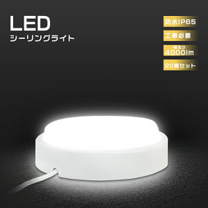 20Zbg LEDV[OCg h 20W V[OCg LED 6 LEDV[OCg 8 LEDV[OCg ^ LEDV[OCg L  ֓ oX[Cg Ɩ h 