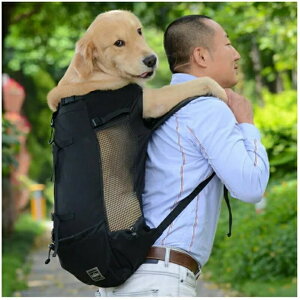 y[zybgobO ybgbN ^ L ^ S M L XL ʉ@  ЊQ J яoh~@\     obNpbN L[ J[g s U ybgObY y