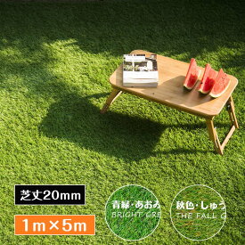 人工芝 ロール 1m×5m 芝丈20mm ピン12本つき 4色立体感 透水穴つき リアル ふかふか 高品質 高密度 色落ちにくい 抜けにくい 復元性 立体感