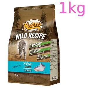 j[g@Lbg@Ch Vs@A_g@g@Lp@1kgiNW211j