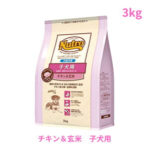 j[g i` `CX qp@DPE̕ꌢɂ@^p@`L&ā@3kgiND325j