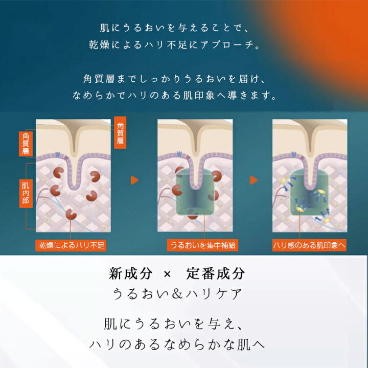 楽天市場】＼最大1750円OFF／ 1000円クーポン配布中【新品・正規品 