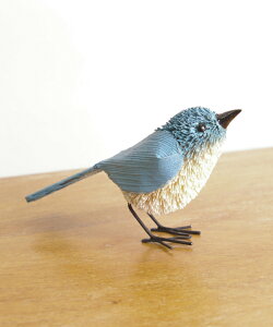 u 킵Aj}  쒹 ^[RCY CG[ zCg IjIInV IuWF l` CeA Aj}  Mtg v[g [J[