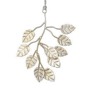 NX}Xc[I[ig Ǐ  EH[fR[V v[g H jR[  z ӂ낤 ؂̎ t p[eB[ nEB S[h Vo[ ^ [J[