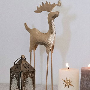 giJC ^IuWF NX}XI[ig u NX}Xi p[eB[ CeA  Aj} ^l` S[h Vo[ [J[