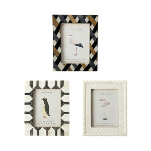 tHgt[ ʐ^ AeB[N  ~jt[ {[tHgt[ i` NVbN k CeAG Mtg REmg yM LmR KANKAN 񂩂