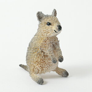 u 킵Aj} NIbJr[ JK[ IuWF I[XgA  Aj} CeA Mtg v[g 킢 