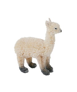 u 킵Aj} ApJ IuWF l` CeA Aj}  Mtg v[g [J[ KANKAN @񂩂