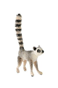 u 킵Aj} ILclU IuWF l` CeA Aj}  Mtg v[g [J[