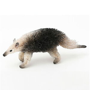 u 킵Aj} ANC IuWF G CeA  Aj} Mtg v[g i`  킢