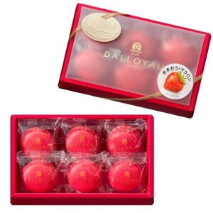 _C }J DALLOYAU ܂ 6  o^Cf[ zCgf[