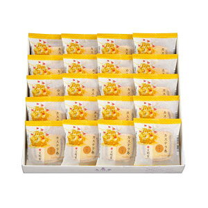 Ε  JXe20H inj[̂݁j i