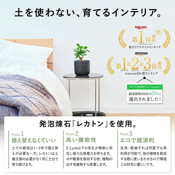 楽天市場】【雑誌で紹介・10000個超販売実績】 サンスベリア 大型 観葉 