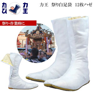 n ͉t@C^[  12n[ Y jp 28cm Ղ葫 ͉ 900670 WF12