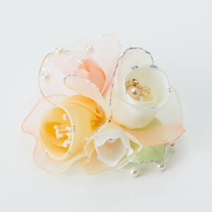 RT[W \[ J[tH[} u[` Vv fB[X p ~ZX ANZT[ R[fBl[g v[g Mtg Ǝ w 񎟉 Ă΂ p[eB[ 