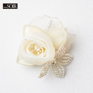 RT[W \[ J[tH[} u[`  Vv fB[X p ~ZX ANZT[ R[fBl[g v[g Mtg Ǝ w 킢 p[eB[ Ă