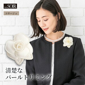 RT[W \[ J[tH[} u[`  Vv fB[X p ~ZX ANZT[ R[fBl[g v[g Mtg Ǝ w 킢 p[eB[ Ă