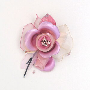 RT[W \[ J[tH[} u[`  Vv fB[X p ~ZX ANZT[ R[fBl[g v[g Mtg Ǝ w 񎟉 p[eB[  l