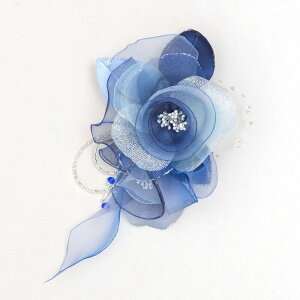 RT[W \[ J[tH[} u[`  Vv fB[X p ~ZX ANZT[ R[fBl[g v[g Mtg Ǝ w 񎟉 p[eB[  l