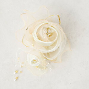 RT[W \[ J[tH[} u[`  Vv fB[X p ~ZX ANZT[ R[fBl[g v[g Mtg Ǝ w 񎟉 p[eB[  