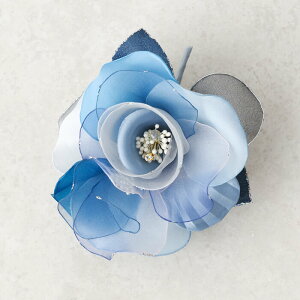 RT[W \[ J[tH[} u[`  Vv fB[X p ~ZX ANZT[ R[fBl[g v[g Mtg Ǝ w 񎟉 p[eB[  