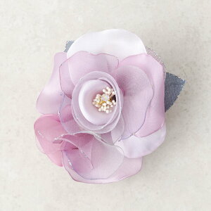 RT[W \[ J[tH[} u[`  Vv fB[X p ~ZX ANZT[ R[fBl[g v[g Mtg Ǝ w 񎟉 p[eB[  