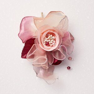 RT[W \[ J[tH[} u[`  Vv fB[X p ~ZX ANZT[ R[fBl[g v[g Mtg Ǝ w 񎟉 p[eB[  