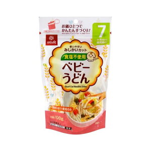はくばく ベビーうどん 100g×10袋【7ヶ月頃から】  送料無料