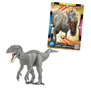 ^Jg~[ AjA WVbNE[h Ch~iXEbNX (AjAogJ[ht)    3Έȏ @