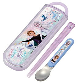 スケーター 抗菌 箸 スプーンセット ディズニー アナと雪の女王 22 日本製 CCA1AG-A 　送料無料