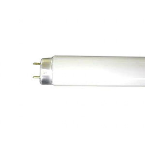 �z�^���N�X(HotaluX) NEC���C�e�B���O NEC FL20SSN/18 �@��������