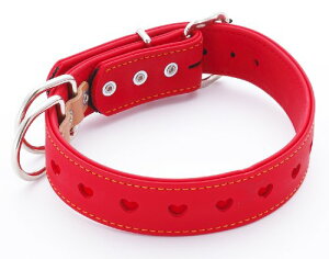 yeBI (Petio) n[eB bh ZсE^p 36mm @