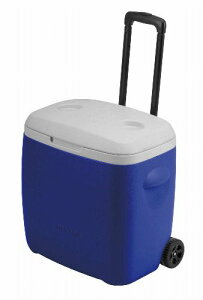 LveX^bO K[h zC[N[[28L u[ M-5281 @