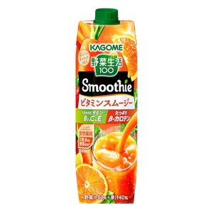 JS ؐ100 SmoothieiX[W[j@r^~X[W[ 1000g×6{ @