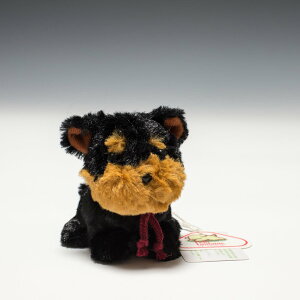 ̂ LfBtHe[k [NVeA ʂ 48241 @