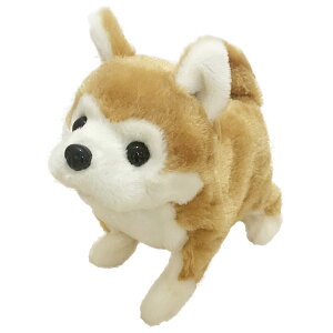 C(IWAYA) sbR[l Hc 3324-7 @