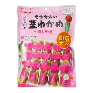 s s킩ߔ~BIGTCY 217g @