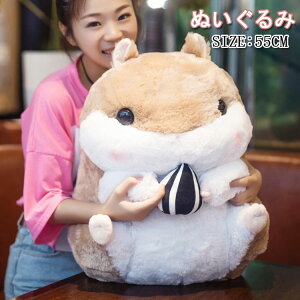 y^CvD[IznX^[ ʂ݁@nX^[@ ʂ LN^[ObY v[g@ʂ݁@NX}X v[g a nX^[@˂ ʂ