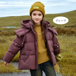 yt[htOz_ER[g LbY y hQ LbY_ER[g q ̎q H _EWPbg O ʊw LbY h H~ WjA AE^[ ~ h 