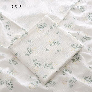 yꂩ劈Iz K[[ 2d K[[ މ@ Ԃ K[[Pbg xr[ uPbg唻 2dK[[ oYj j̎q ̎q i` QPbg ėp t  o