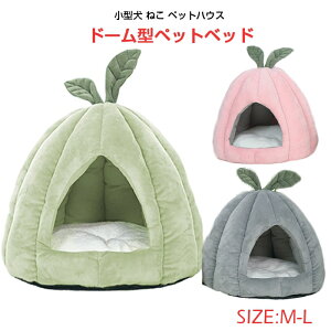 yzybgxbh ~p 􂦂h[^ NbVt h[nEX ӂƂ Lxbh h[ nEX ybgxbg lR ӂӂ ӂӂ ΍ ~ g  