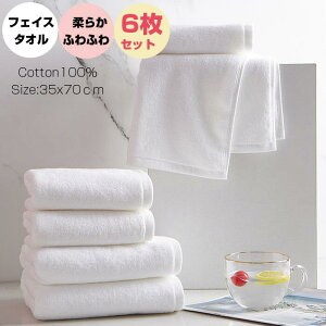 yg₷tFCX^IztFCX^I 6ZbtFCX^I z 100  ^I ze^Ix z   oX^I ƒp35×70cm Ɩp z e