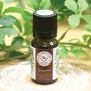 _̂^ O[vt[c GbZVIC100VR 10mlRRqRA} A} ~s ނ ZCg 얞 E}` d  jLrPA Ɖu