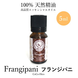  tWpj vA GbZVIC100VR 5mlRRqRA}IC s Sz XgX bNX R J  s W̓Abv  e[