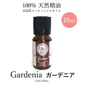  K[fjA N`iV GbZVIC100VR 10mlRRqRA}IC s Sz XgX bNX J  R E R_ A`GCWO 畆o