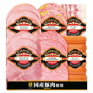 ΕჍ[}CnE\[Z[WEx[Rli101-321j 