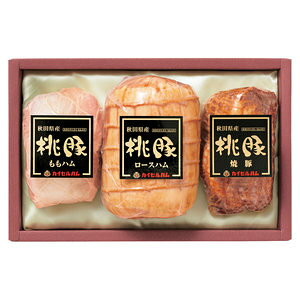 ΕJC[nHcY؃nliAM-100j 